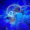 procesos cognitivos