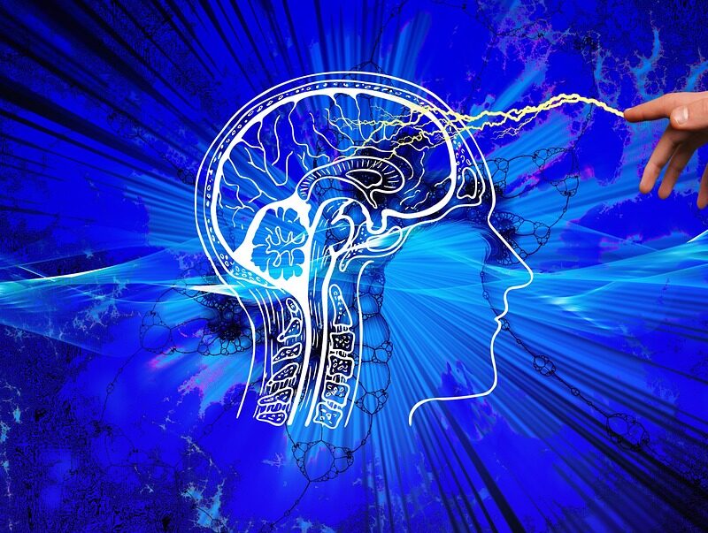 procesos cognitivos